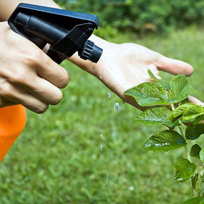 Aplicacion insecticida