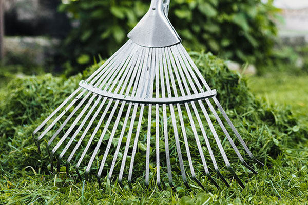 Barrido áreas verdes