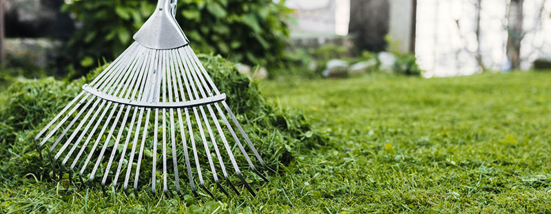 Barrido de áreas verdes