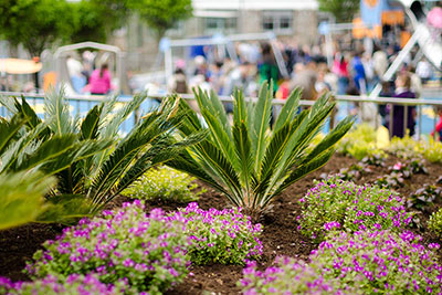 Diseño areas verdes