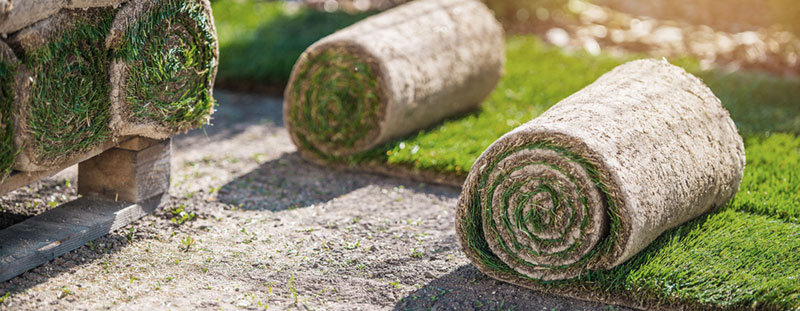 Instalación de pasto en rollo