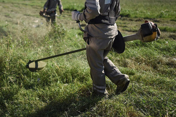 Limpieza de terrenos