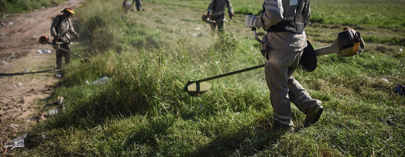 Limpieza de terrenos